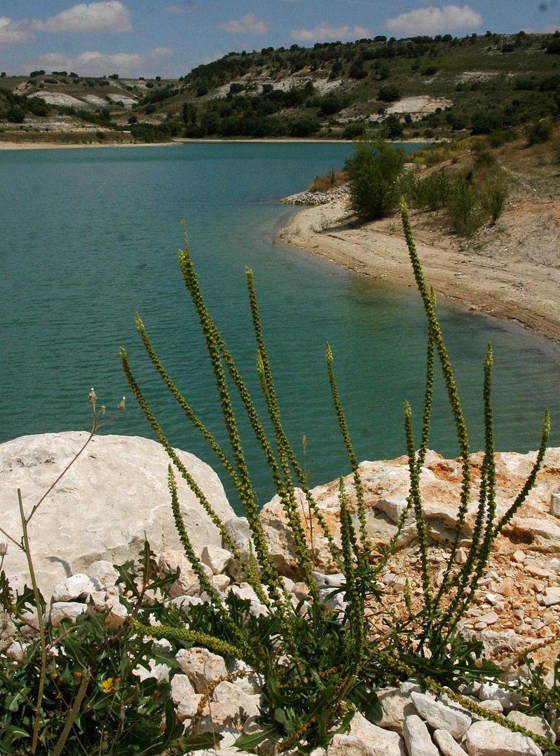 Embalse