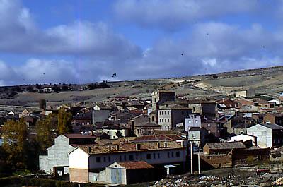 Imagen de Tórtoles de Esgueva 